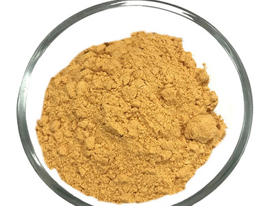 Salted Egg Yolk Powder Food Seasoning